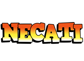 Necati sunset logo