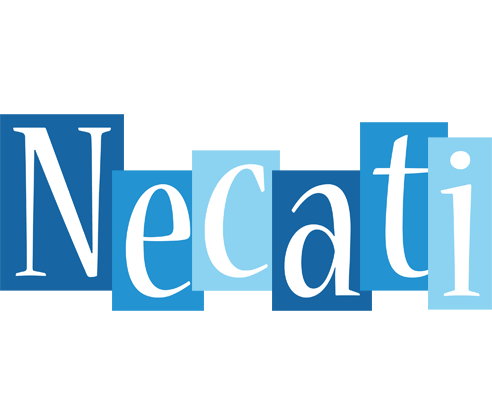 Necati winter logo