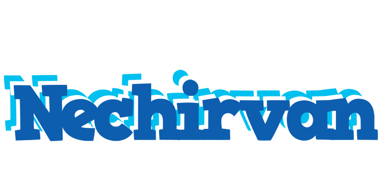 Nechirvan business logo