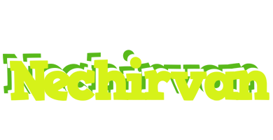 Nechirvan citrus logo