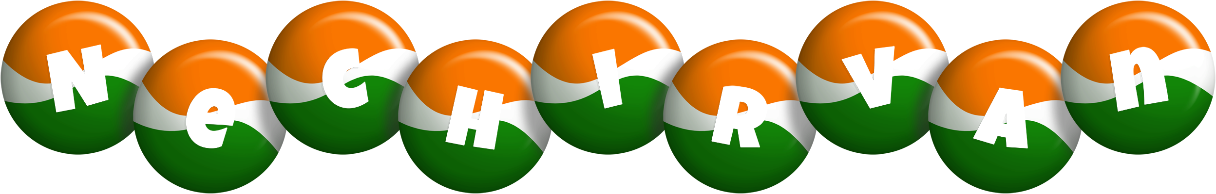 Nechirvan india logo