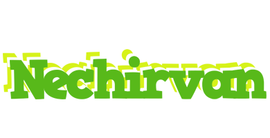 Nechirvan picnic logo