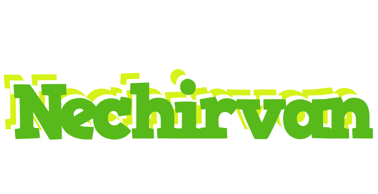 Nechirvan picnic logo