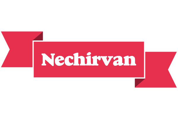 Nechirvan sale logo