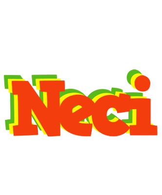 Neci bbq logo