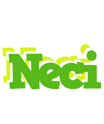 Neci picnic logo