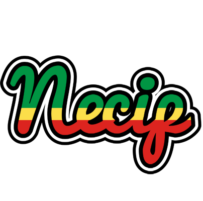 Necip african logo