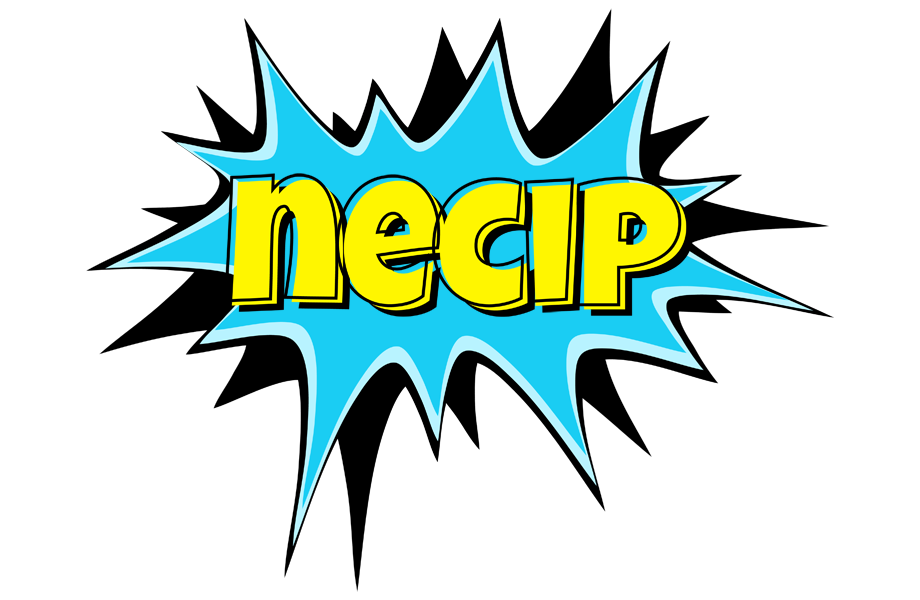 Necip amazing logo