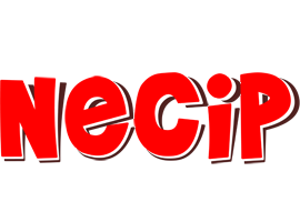 Necip basket logo