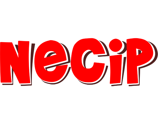 Necip basket logo