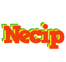 Necip bbq logo