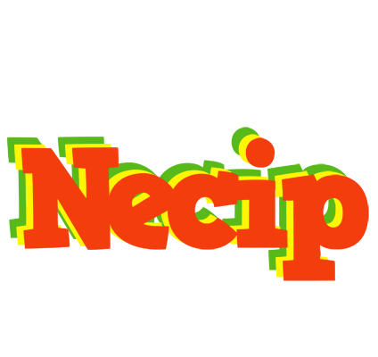 Necip bbq logo
