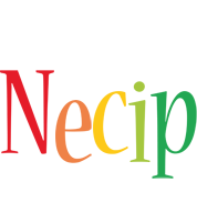 Necip birthday logo