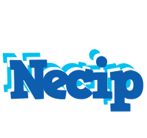 Necip business logo