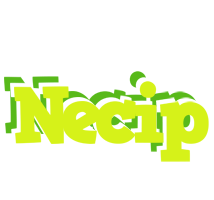 Necip citrus logo