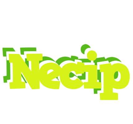Necip citrus logo