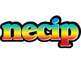 Necip color logo