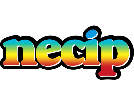 Necip color logo