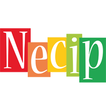 Necip colors logo