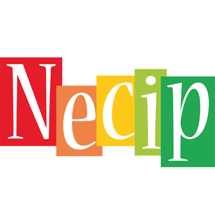 Necip colors logo