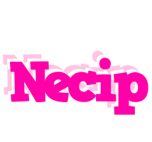 Necip dancing logo