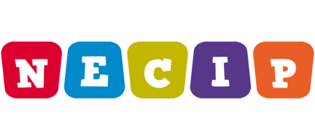 Necip daycare logo