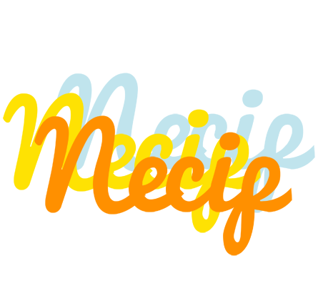 Necip energy logo