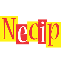 Necip errors logo