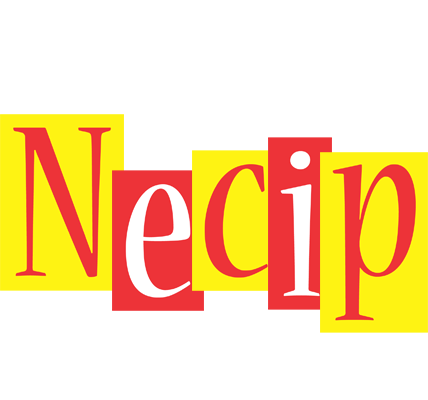 Necip errors logo