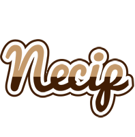 Necip exclusive logo