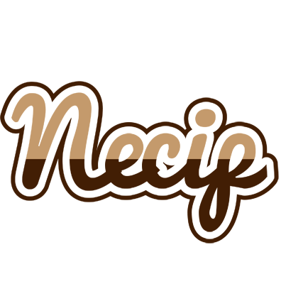 Necip exclusive logo