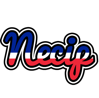 Necip france logo