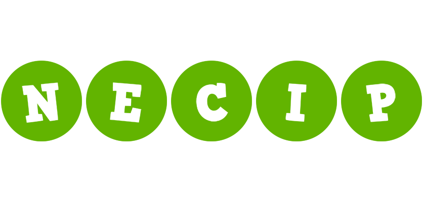 Necip games logo