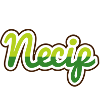 Necip golfing logo