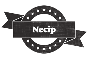 Necip grunge logo