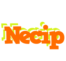 Necip healthy logo