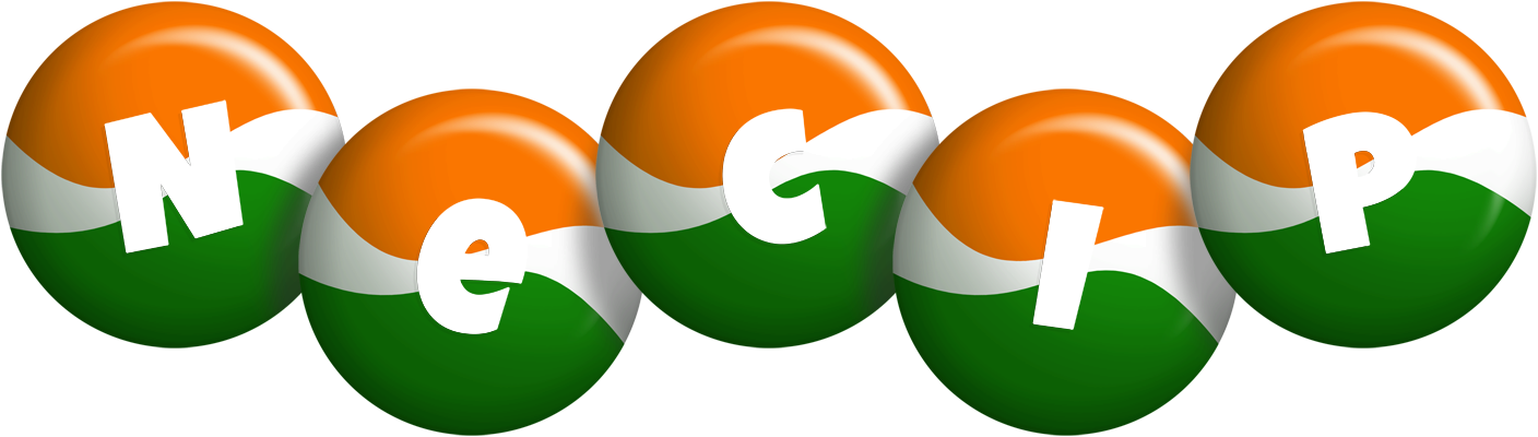 Necip india logo