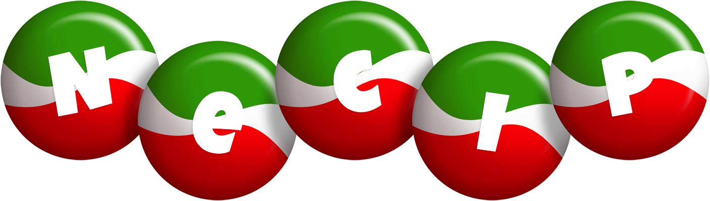 Necip italy logo