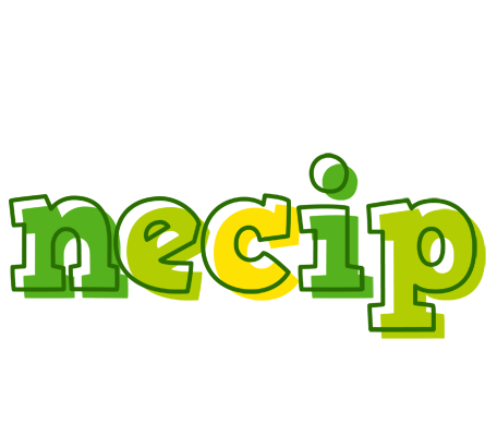 Necip juice logo