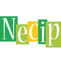 Necip lemonade logo