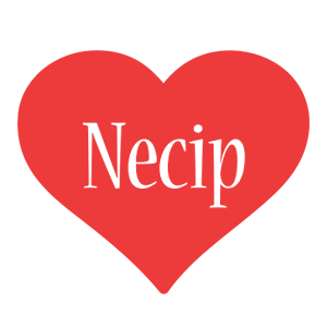 Necip love logo