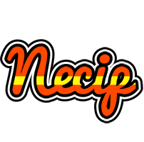 Necip madrid logo