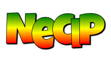 Necip mango logo