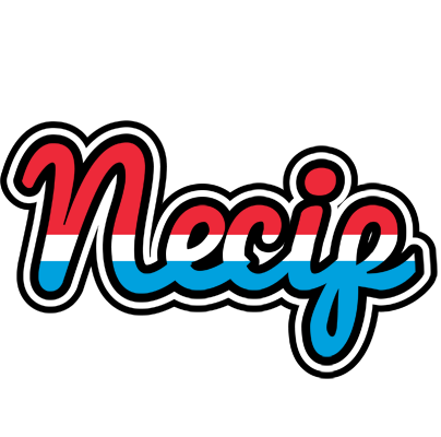 Necip norway logo