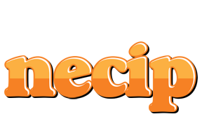 Necip orange logo