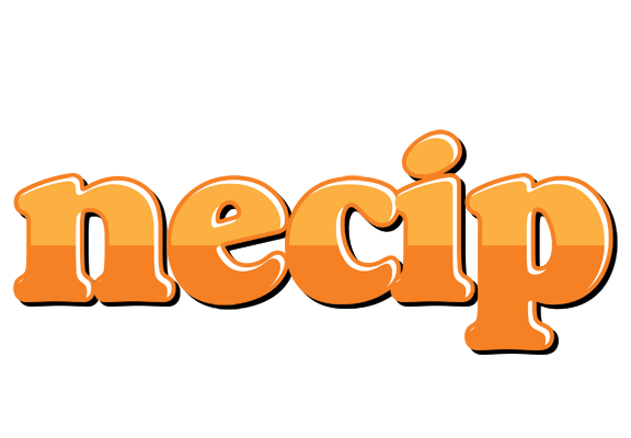 Necip orange logo