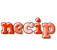 Necip paint logo