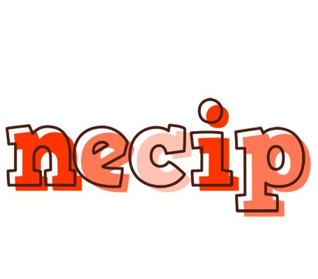 Necip paint logo