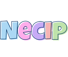 Necip pastel logo