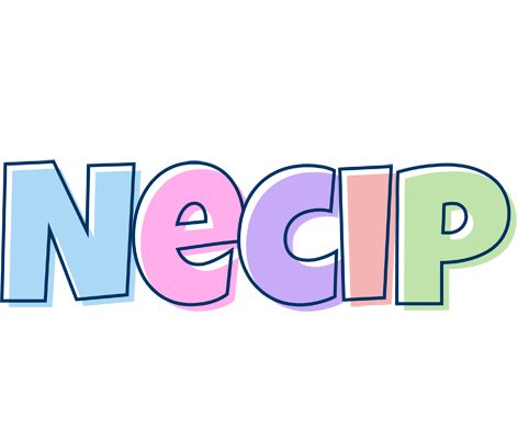 Necip pastel logo